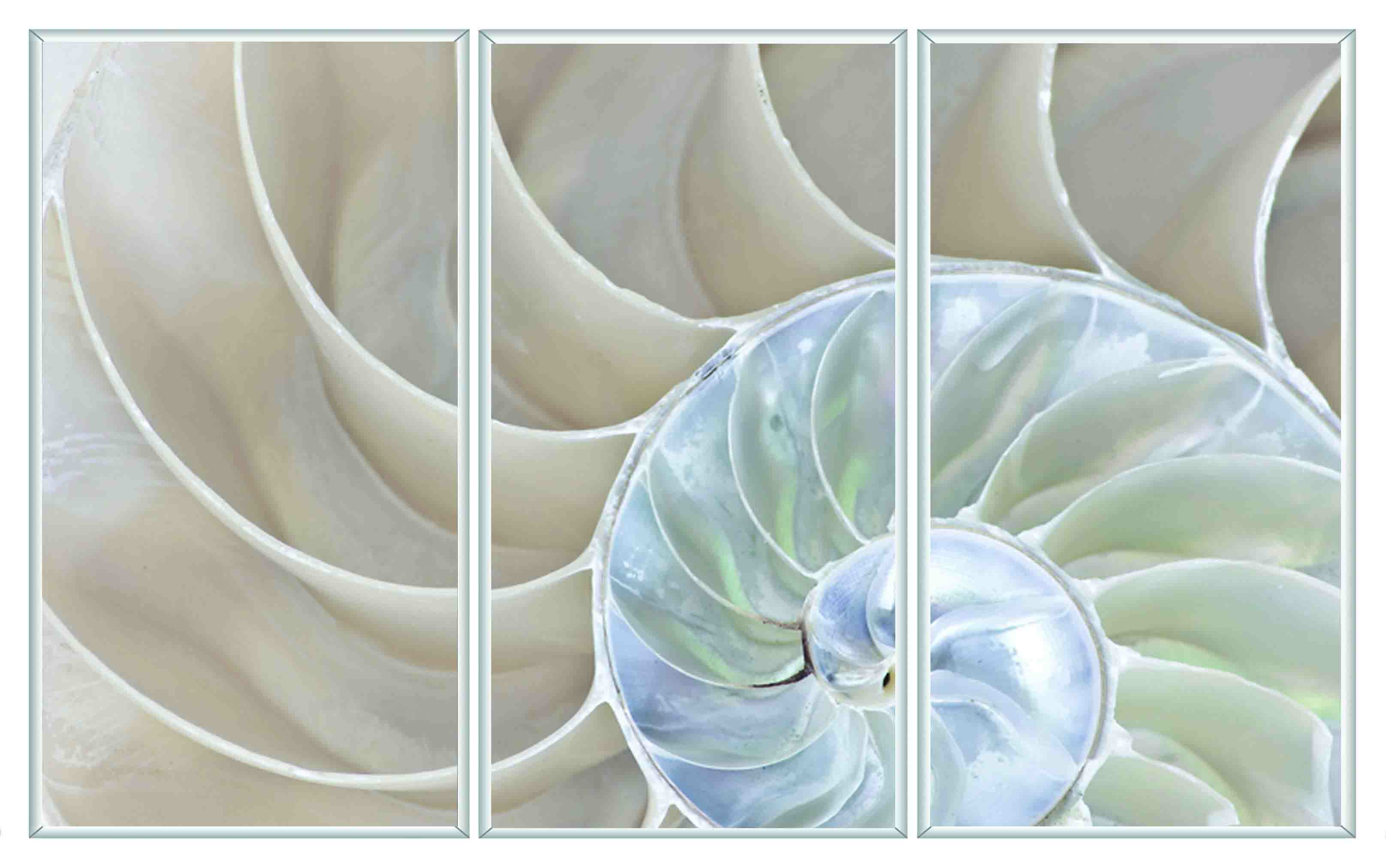 ASG421 Wall décor art printed on glass seashell set of 3
